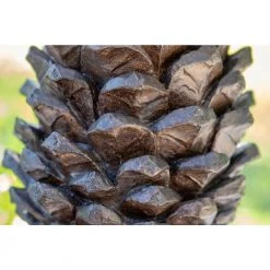 Spruce 27 in. Aged Bronze Outdoor Table Lamp by Kenroy Home -Kenroy Home Sales aged bronze kenroy home outdoor table lamps 35245abz 1f 1000