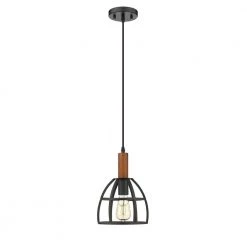 Woodstock 8 in. 1-Light Black and Wood Ceiling Pendant Light by OVE Decors 11 Woodstock 8 in. 1-Light Black and Wood Ceiling Pendant Light by OVE Decors -Kenroy Home Sales black and wood ove decors chandeliers 15lpe wood08 pb c3 1000