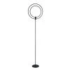 Aurora 63 in. Black indoor Floorchiere Lamp by Kenroy Home