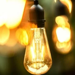 48 ft. 24 Oversized Edison Light Bulbs Black/Gold All Weather LED String Light by OVE Decors -Kenroy Home Sales black gold ove decors string lights string light 1f 1000