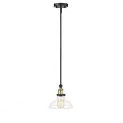 Elgin 1-Light 8 in. Black finish Ceiling Pendant Light with Glass and Brass Accents by OVE Decors 17 Elgin 1-Light 8 in. Black finish Ceiling Pendant Light with Glass and Brass Accents by OVE Decors -Kenroy Home Sales black ove decors chandeliers 15lpe elg208 pb 4f 1000