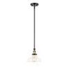 Elgin 1-Light 8 in. Black finish Ceiling Pendant Light with Glass and Brass Accents by OVE Decors 2 Elgin 1-Light 8 in. Black finish Ceiling Pendant Light with Glass and Brass Accents by OVE Decors -Kenroy Home Sales black ove decors chandeliers 15lpe elg208 pb 64 1000