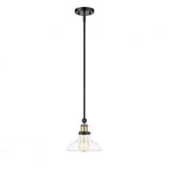 Elgin 1-Light 8 in. Black finish Ceiling Pendant Light with Glass and Brass Accents by OVE Decors