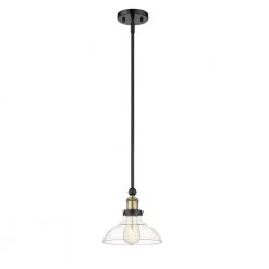 Elgin 1-Light 8 in. Black finish Ceiling Pendant Light with Glass and Brass Accents by OVE Decors 16 Elgin 1-Light 8 in. Black finish Ceiling Pendant Light with Glass and Brass Accents by OVE Decors -Kenroy Home Sales black ove decors chandeliers 15lpe elg208 pb c3 1000