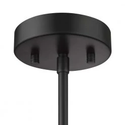 Lila 1-Light Black Pendant with Clear Glass by OVE Decors -Kenroy Home Sales black ove decors chandeliers 15lpe lila09 pb fa 1000