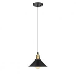 Shella 1-Light Black Pendant with Black Metal Shade by OVE Decors