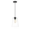 Clark I 1-Light Black Pendant with Clear Glass Shade by OVE Decors