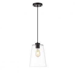 Clark I 1-Light Black Pendant with Clear Glass Shade by OVE Decors