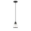 Theodore 1-Light Black Mini Pendant with Clear Glass Shade by OVE Decors -Kenroy Home Sales black ove decors pendant lights 15lpe the106 pb 64 1000