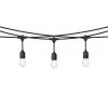 Outdoor 24 ft. Plug-In S14 Bulbs Sting Light by OVE Decors