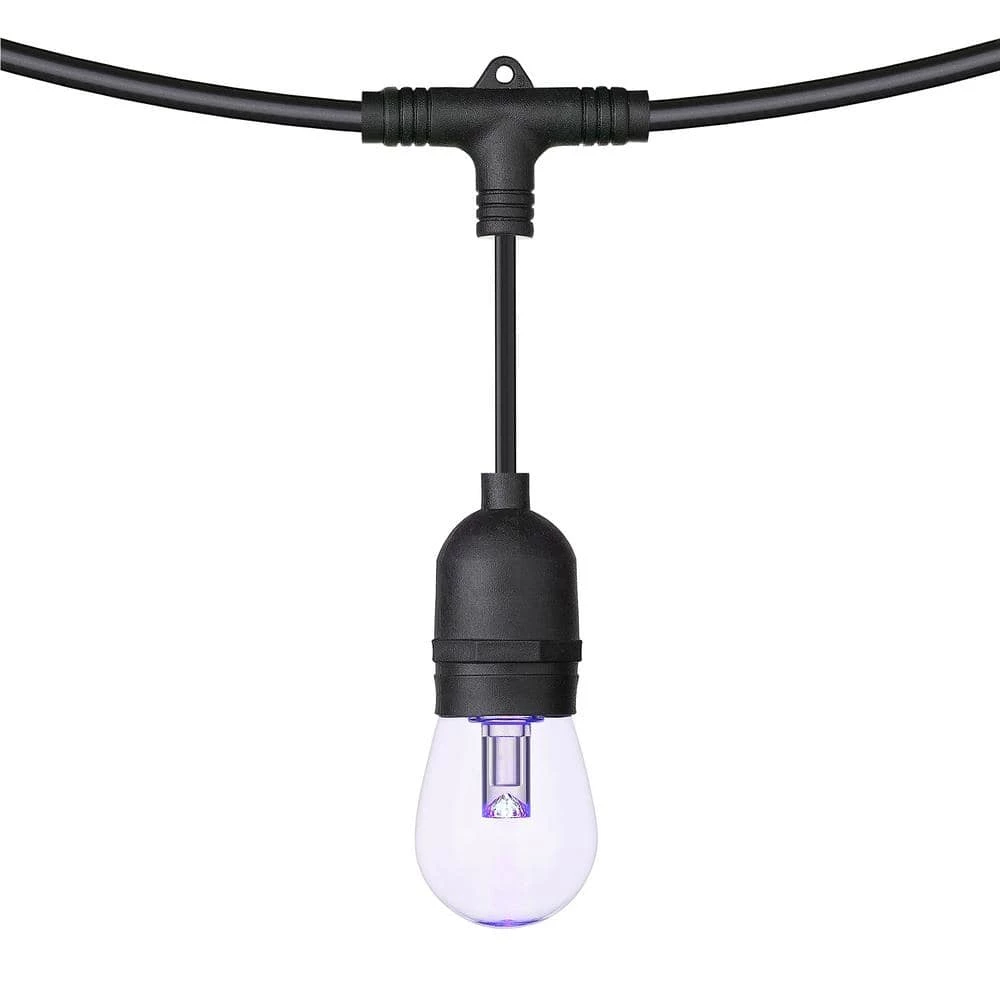 Outdoor 24 ft. Plug-In S14 Bulbs RGB String Light II with Remote Control by OVE Decors 8 Outdoor 24 ft. Plug-In S14 Bulbs RGB String Light II with Remote Control by OVE Decors - Image 6