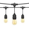 Outdoor 48 ft. Plug-In S14 III Edison Bulb String Light by OVE Decors -Kenroy Home Sales black ove decors string lights 15lst s14348 rb 64 1000