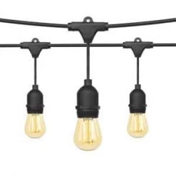 Kenroy Home Sales 15 Outdoor 48 ft. Plug-In S14 III Edison Bulb String Light by OVE Decors