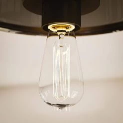 Capri 1-Light Bronze Flush Mount by Kenroy Home -Kenroy Home Sales blackened oil rubbed bronze finish kenroy home flush mount lights 91837orb 1f 1000