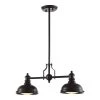 Bergin II 2-Light Oiled Bronze Pendant by OVE Decors -Kenroy Home Sales bronze ove decors chandeliers bergin ii 64 1000