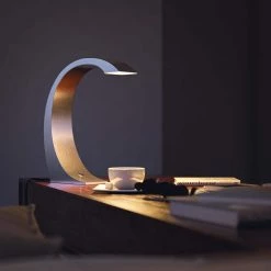 13 in. Brushed Steel Desk Lamp by Kenroy Home -Kenroy Home Sales brushed steel finish kenroy home desk lamps 32037bs 44 1000