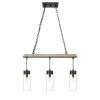 Portsmouth 3-Light Black Chandelier with Glass Shades by OVE Decors -Kenroy Home Sales driftwood black ove decors chandeliers 15lch port12 pb 64 1000