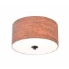 Bulletin 2-Light Oil Rubbed Bronze Flush Mount Light by Kenroy Home -Kenroy Home Sales oil rubbed bronze finish kenroy home flush mount lights 93010bsorb 64 1000