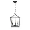 Moore 4-Light Painted Black Cage Pendant Light by OVE Decors