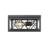 Gamma in 2-Light Black Flush Mount with Glass Shade by OVE Decors -Kenroy Home Sales painted black ove decors flush mount lights 15lfm gamm12 pb 64 1000